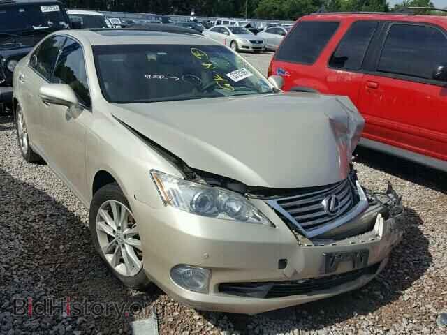 Photo JTHBK1EG9C2476981 - LEXUS ES350 2012