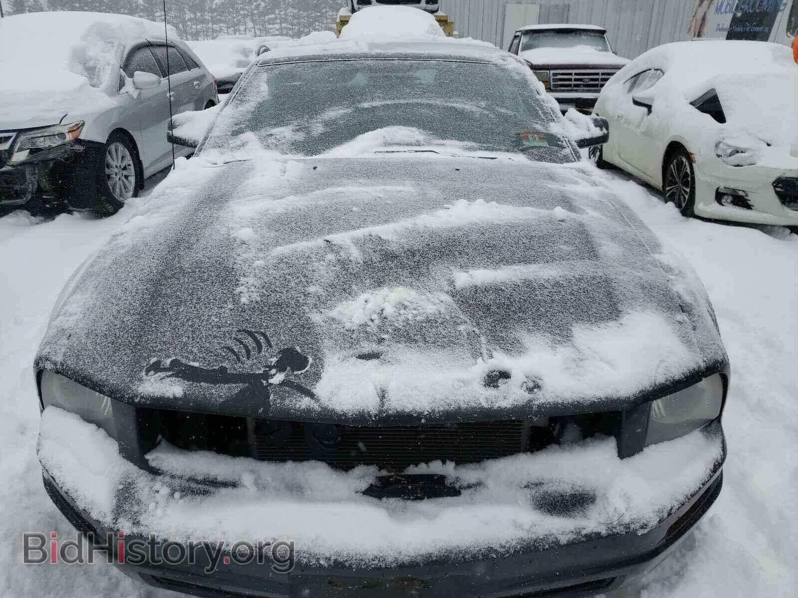 2007 FORD MUSTANG - VIN: 1ZVHT84N975204014 - Фото 7