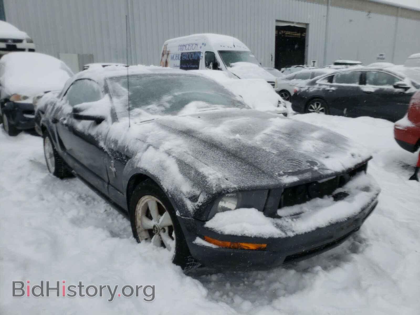 2007 FORD MUSTANG - VIN: 1ZVHT84N975204014 - Фото 9