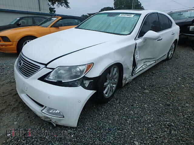 2007 LEXUS LS460 - VIN: JTHBL46F875018308 - Фото 2