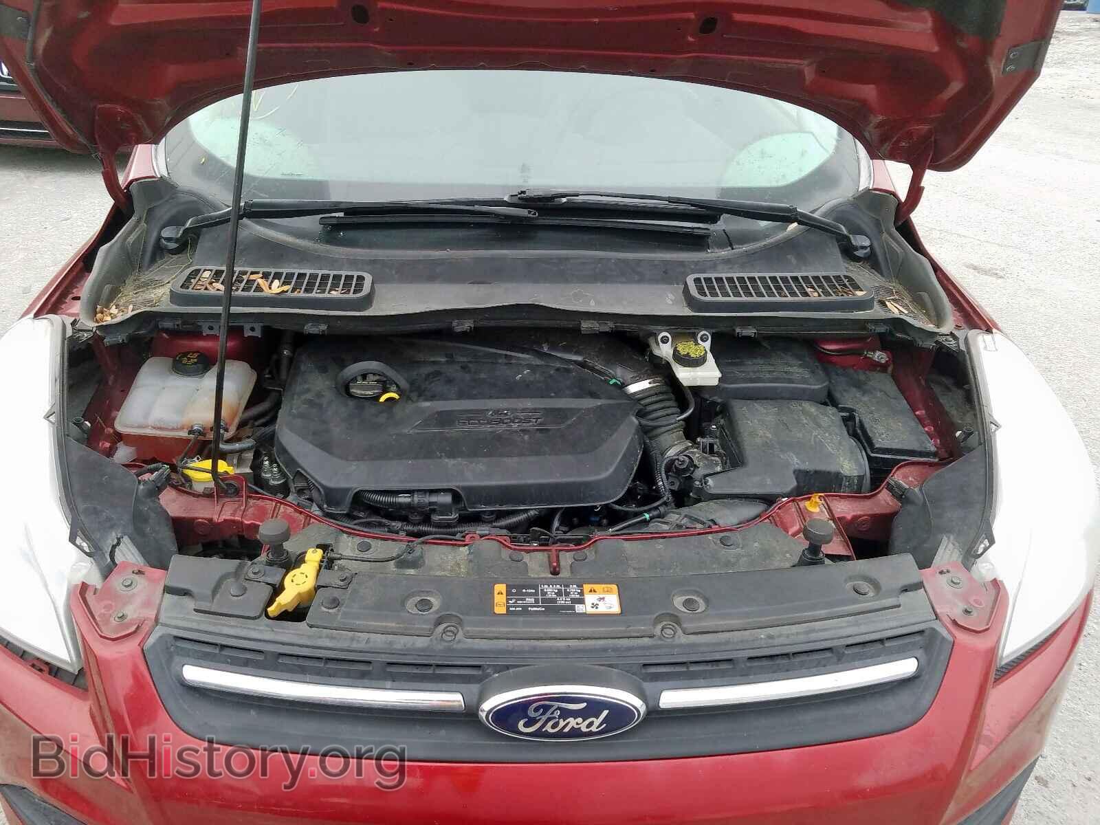 2014 FORD ESCAPE - VIN: 1FMCU0GX4EUD48982 - Фото 7