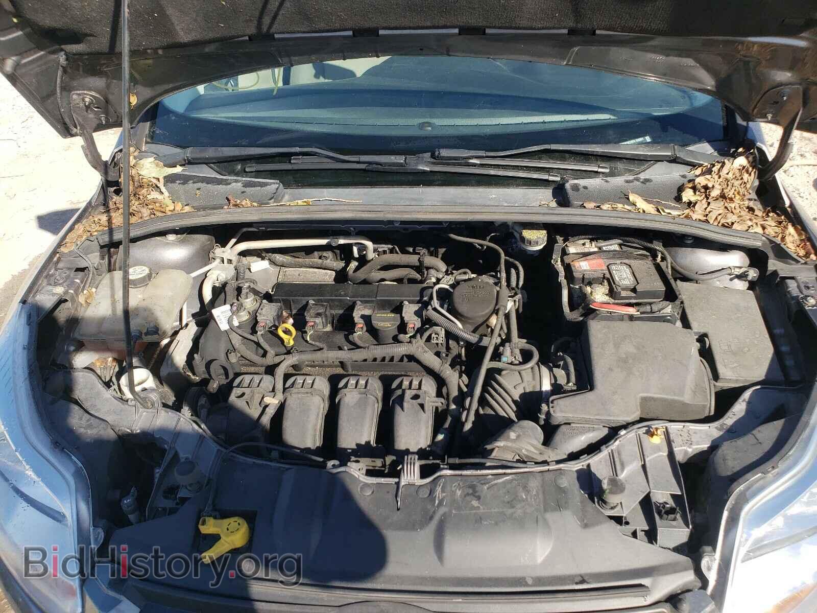 2013 FORD FOCUS - VIN: 1FADP3K24DL104501 - Фото 7