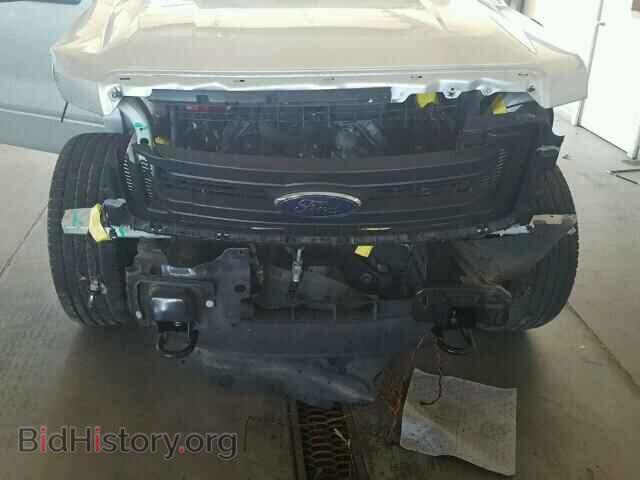 2013 FORD F150 - VIN: 1FTFX1EF9DFB83801 - Фото 9