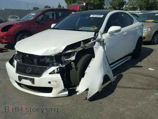 2009 LEXUS IS250 - VIN: JTHBK262095106079 - Фото 2