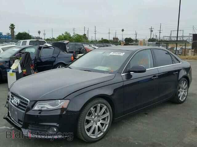 2010 AUDI A4 - VIN: WAUEFAFL3AN008932 - Фото 2
