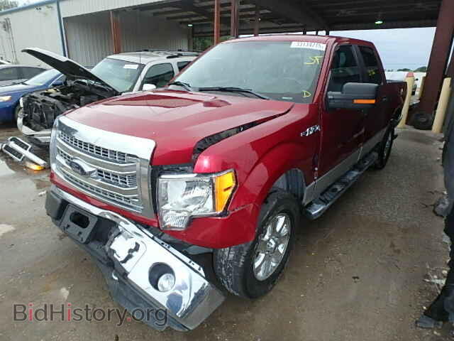 2013 FORD F150 - VIN: 1FTFW1EF1DFD77239 - Photo 2