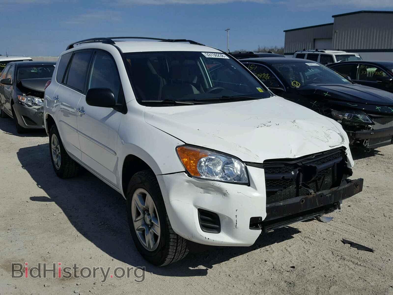 Фотография 2T3BF4DVXBW116499 - TOYOTA RAV4 2011