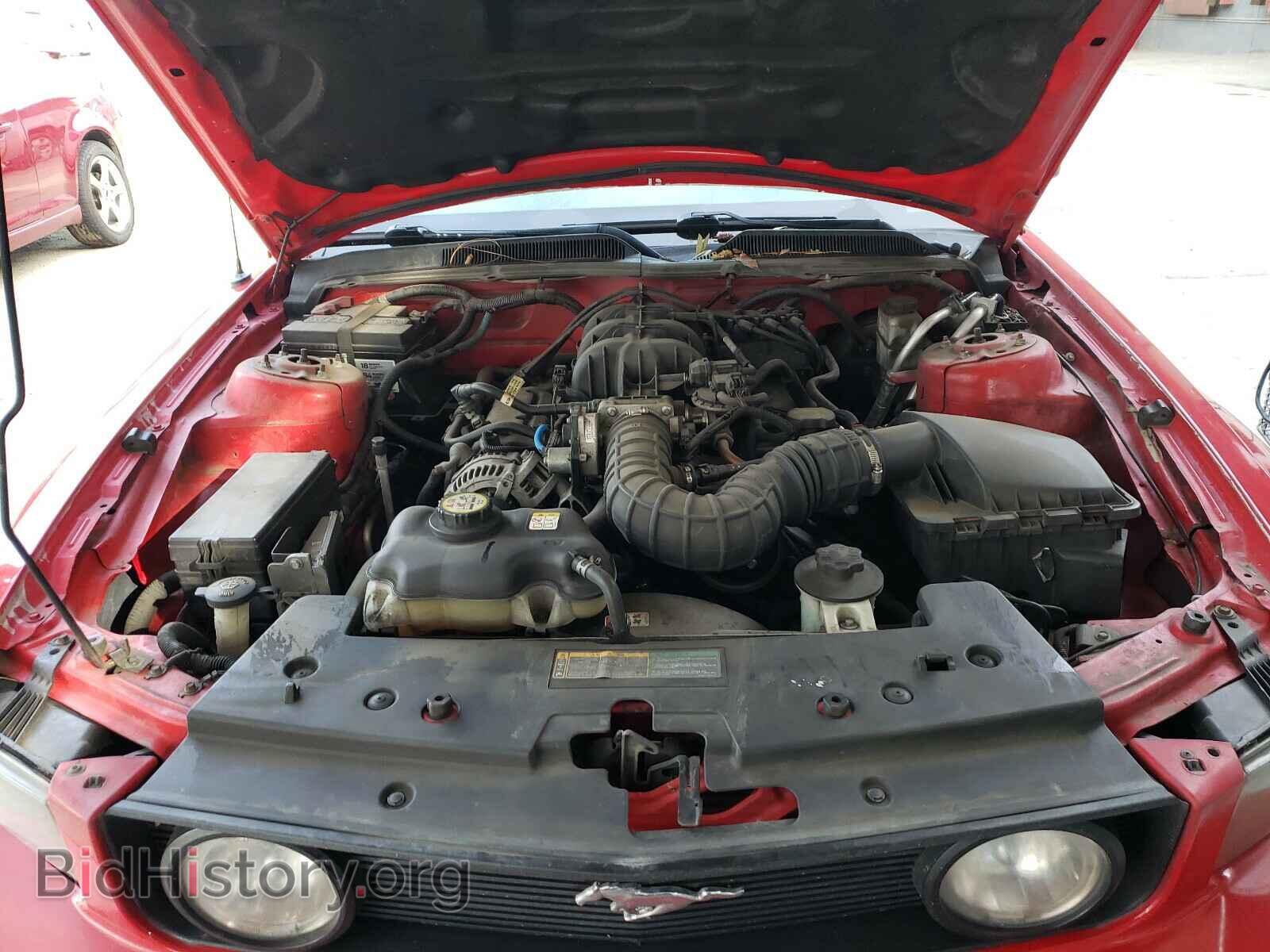 2009 FORD MUSTANG - VIN: 1ZVHT80NX95137576 - Фото 7