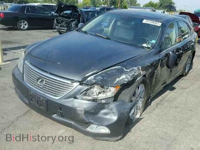 2009 LEXUS LS460 - VIN: JTHBL46F195086873 - Фото 2