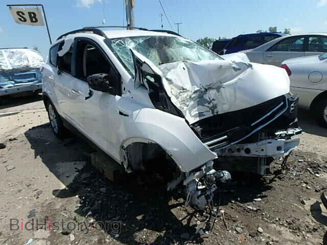 Photo 1FMCU0HX0DUA85418 - FORD ESCAPE 2013