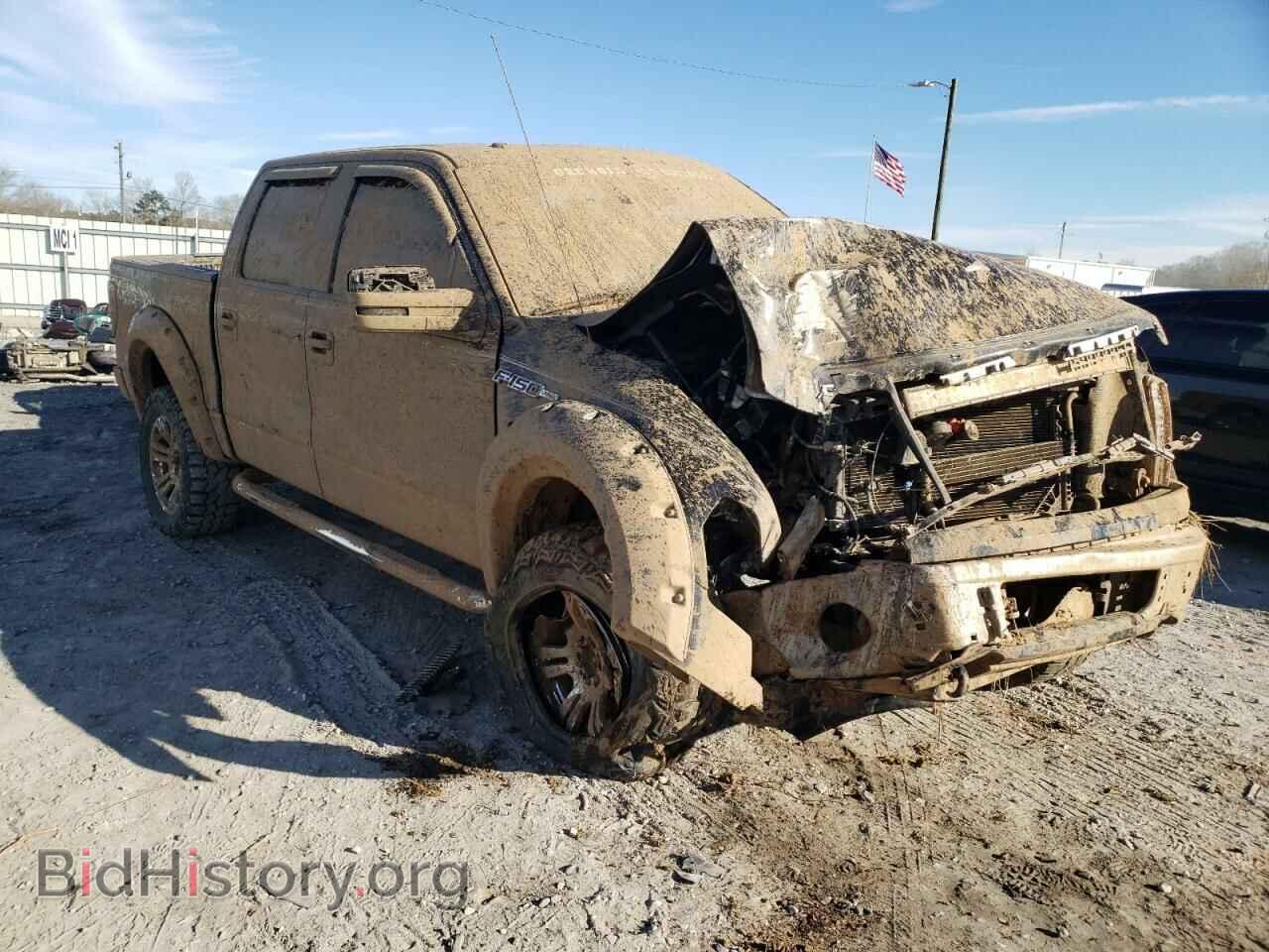 Фотография 1FTFW1EV4AFA56220 - FORD F-150 2010