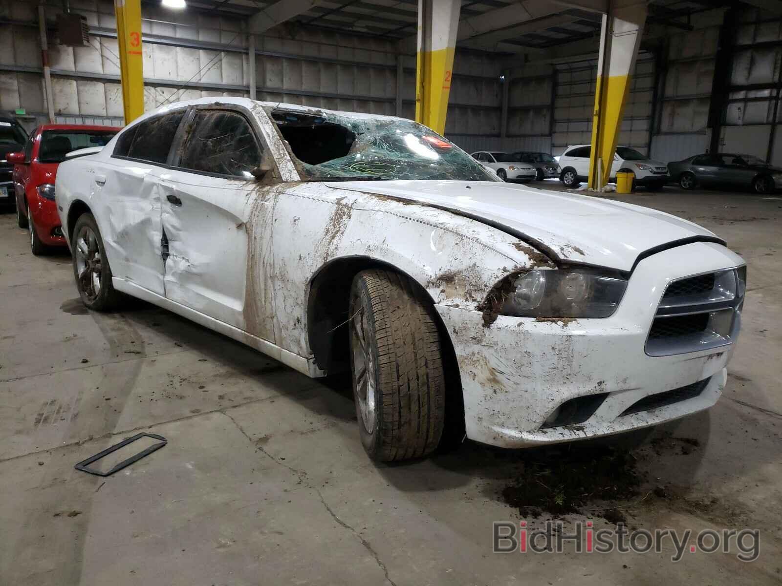 Photo 2C3CDXJG0DH572035 - DODGE CHARGER 2013