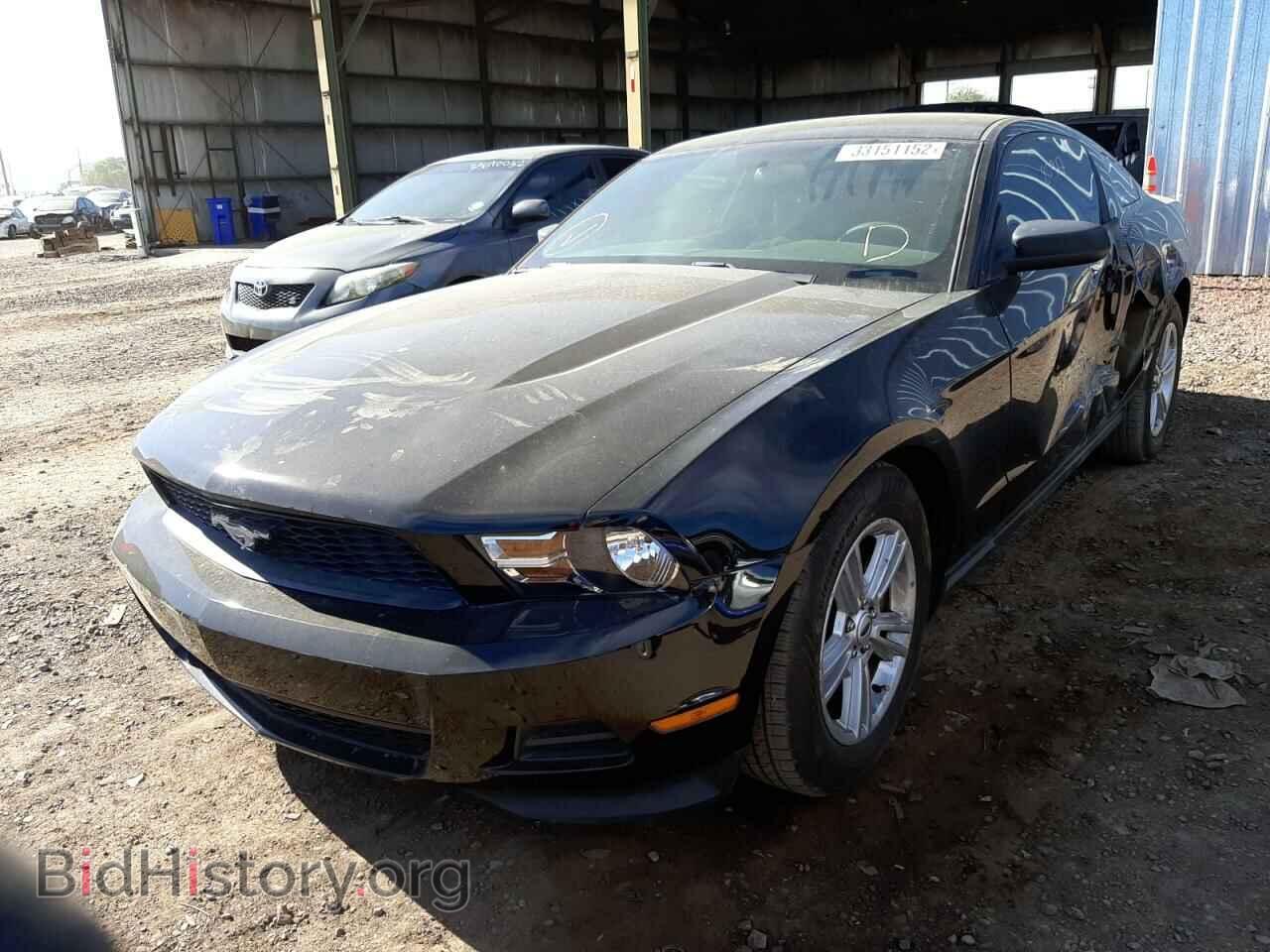 2012 FORD MUSTANG - VIN: 1ZVBP8AM3C5239406 - Фото 2