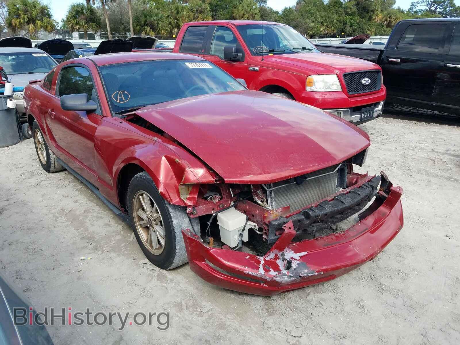 2008 FORD MUSTANG - VIN: 1ZVHT80N185203690 - Фото 9