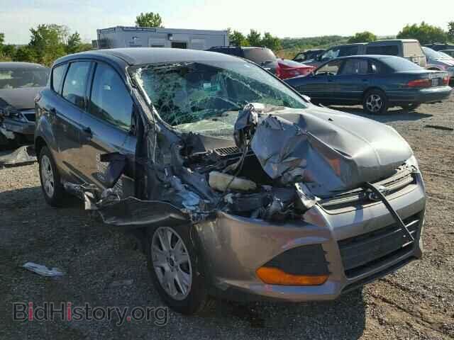 Фотография 1FMCU0F71EUC31068 - FORD ESCAPE 2014