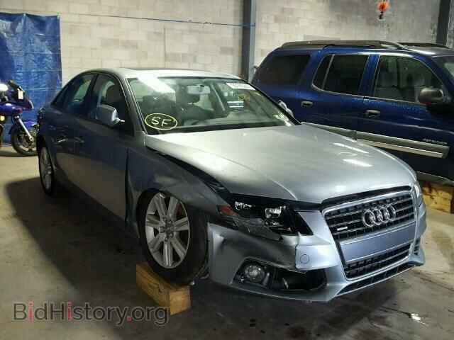 Фотография WAUBFAFL5AN064986 - AUDI A4 2010