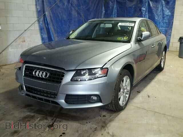 2010 AUDI A4 - VIN: WAUBFAFL5AN064986 - Фото 2