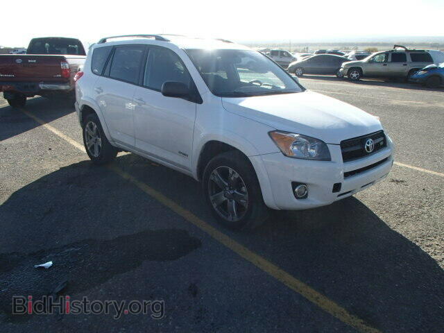 Фотография 2T3RK4DV8BW044339 - TOYOTA RAV4 2011