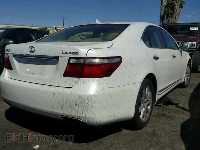 2007 LEXUS LS460 - VIN: JTHBL46FX75031528 - Фото 4