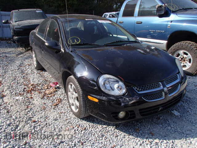 Photo 1B3ES56C83D211220 - DODGE NEON 2003