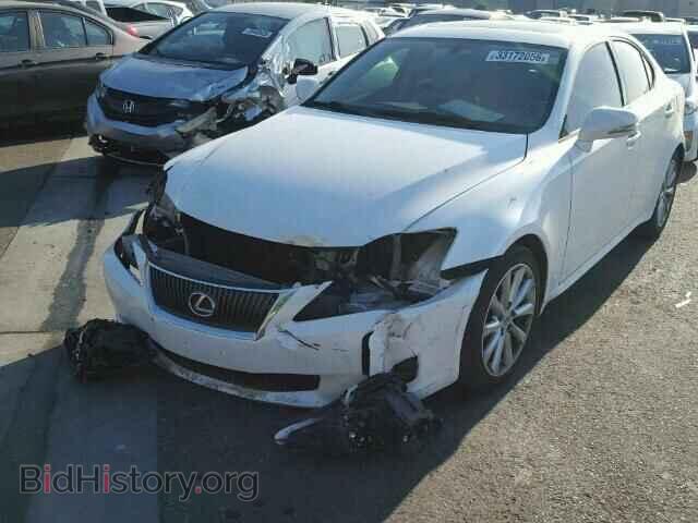 2009 LEXUS IS250 - VIN: JTHBK262392086525 - Фото 2