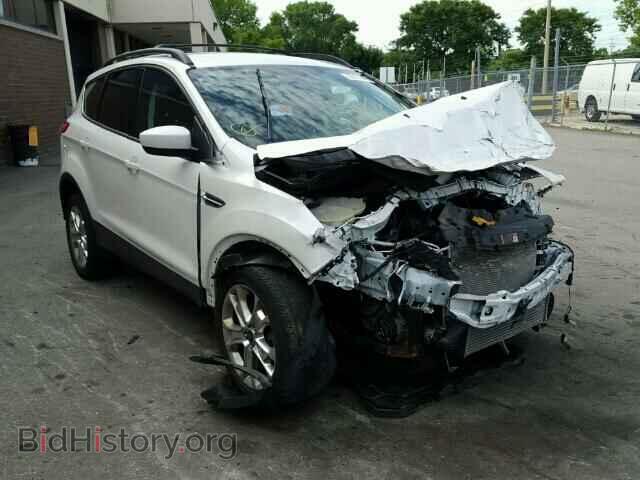 Photo 1FMCU9G93DUC02285 - FORD ESCAPE 2013