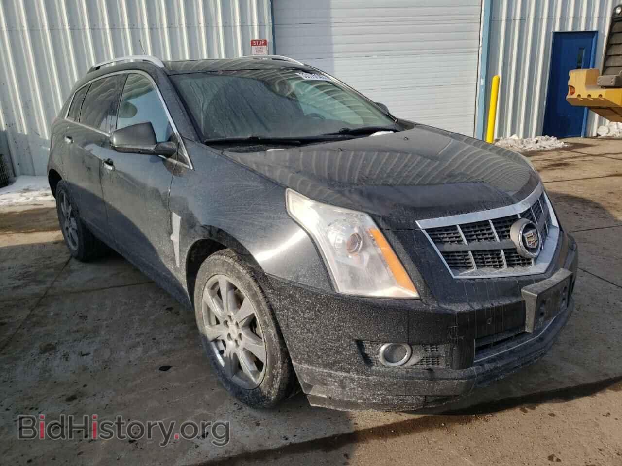 Фотография 3GYFNFEY0AS523861 - CADILLAC SRX 2010