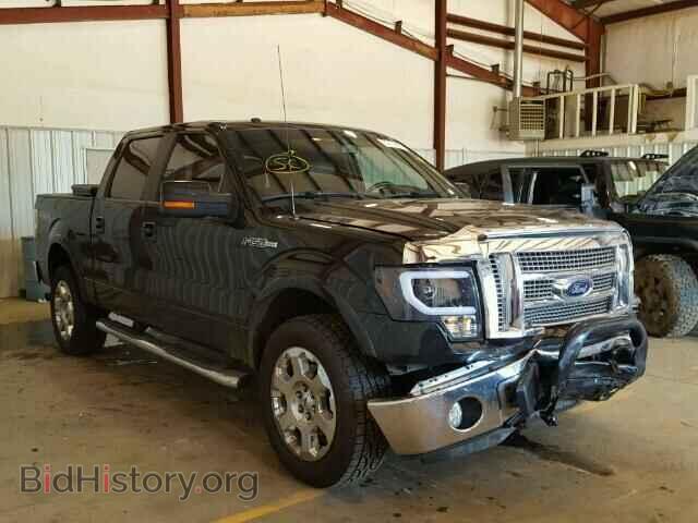 Фотография 1FTFW1EV4AFD32069 - FORD F150 2010