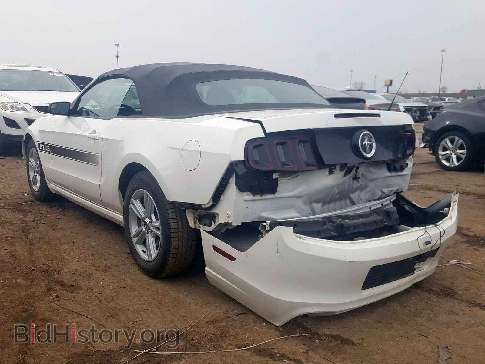 2013 FORD MUSTANG - VIN: 1ZVBP8EM7D5216920 - Фото 3