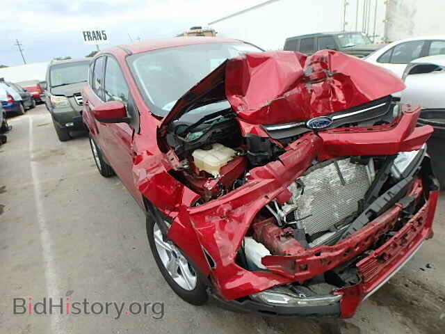 Фотография 1FMCU0GX9EUC52443 - FORD ESCAPE 2014