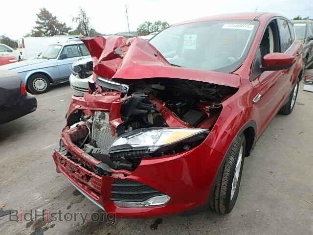 2014 FORD ESCAPE - VIN: 1FMCU0GX9EUC52443 - Фото 2