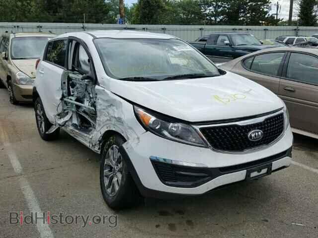 Photo KNDPB3AC4E7620688 - KIA SPORTAGE 2014