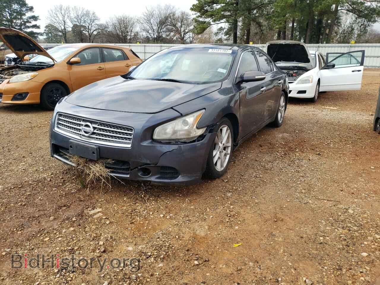 2011 NISSAN MAXIMA - VIN: 1N4AA5AP3BC834958 - Фото 2