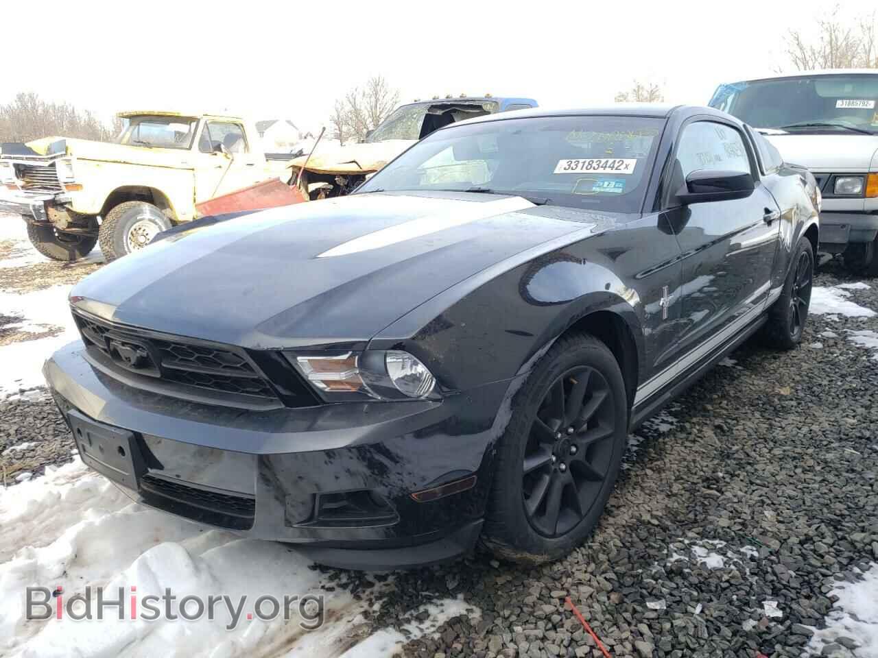 2011 FORD MUSTANG - VIN: 1ZVBP8AM4B5140415 - Фото 2