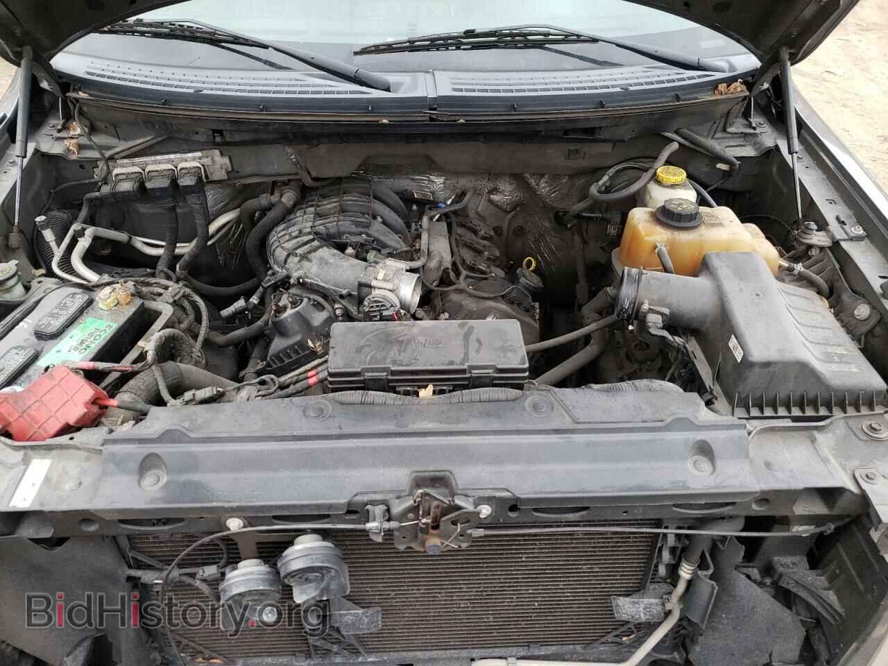 2014 FORD F150 - VIN: 1FTMF1CM6EKE73708 - Фото 7