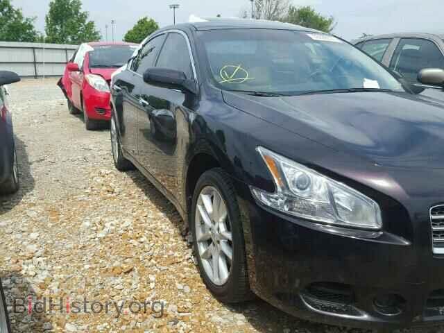 Photo 1N4AA5AP0AC812608 - NISSAN MAXIMA 2010