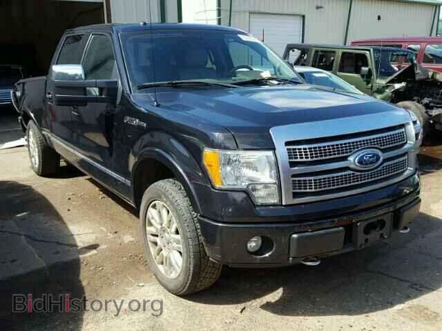 Фотография 1FTFW1EV9AFB49315 - FORD F150 2010