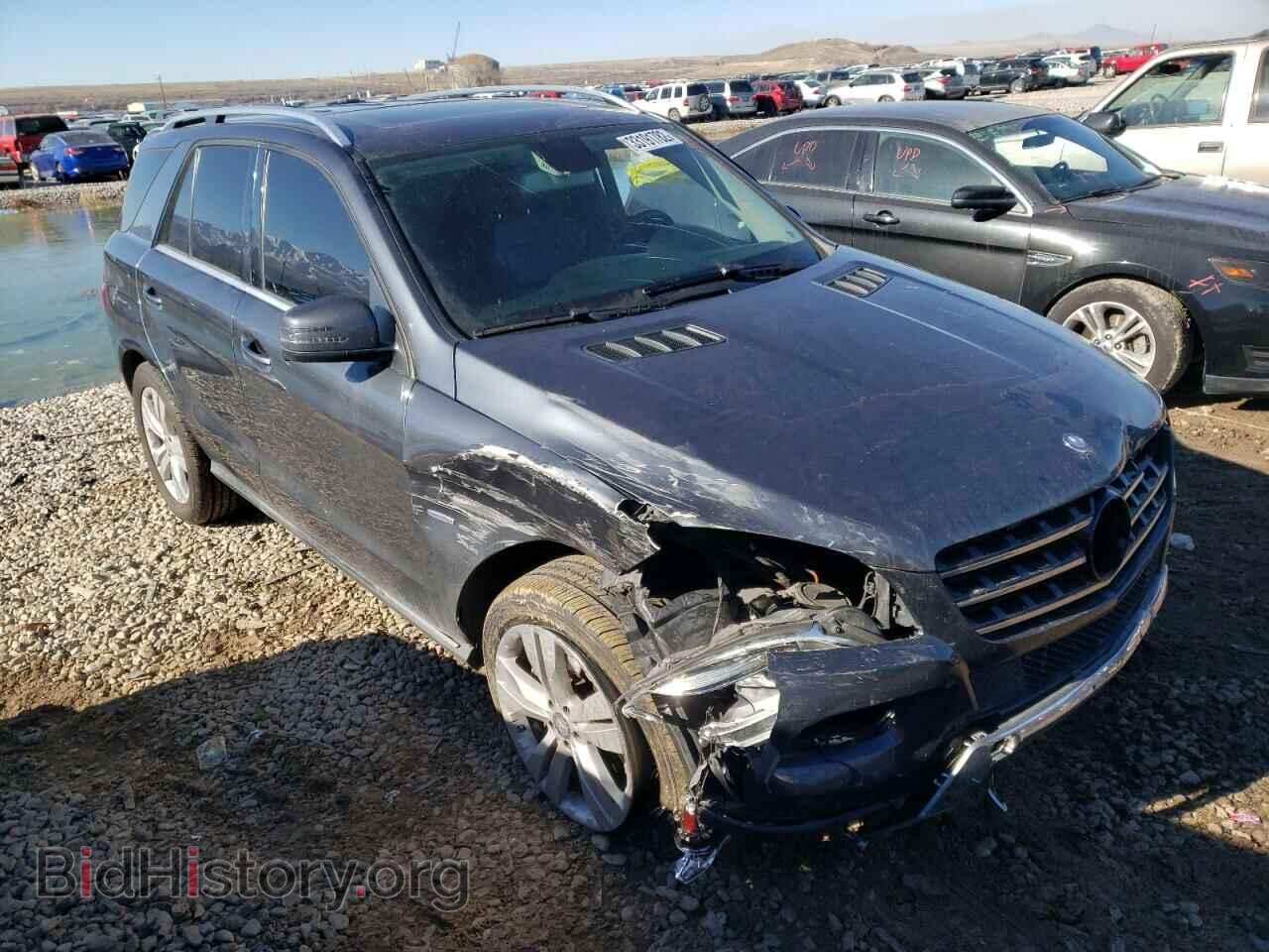 Photo 4JGDA5HB2CA028166 - MERCEDES-BENZ M-CLASS 2012