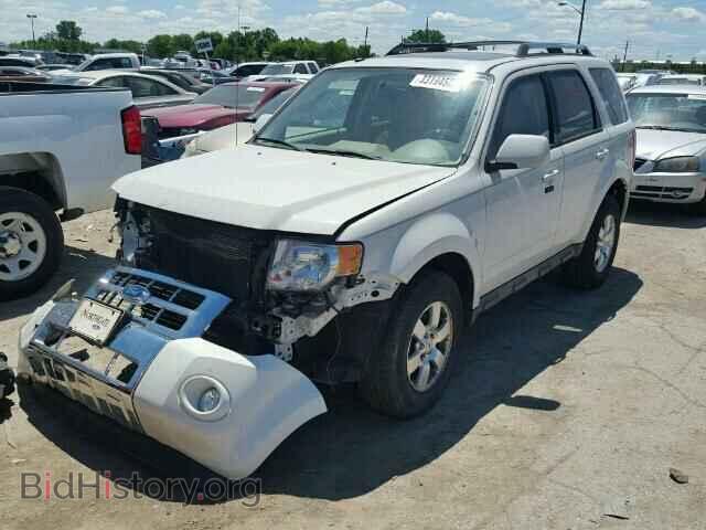 2011 FORD ESCAPE - VIN: 1FMCU9EG2BKB33437 - Фото 2
