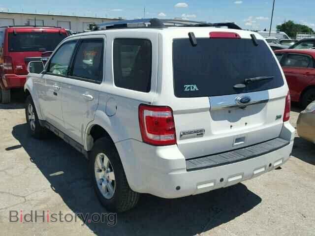 2011 FORD ESCAPE - VIN: 1FMCU9EG2BKB33437 - Фото 3