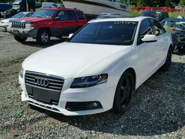 2010 AUDI A4 - VIN: WAUAFAFLXAN049153 - Фото 2