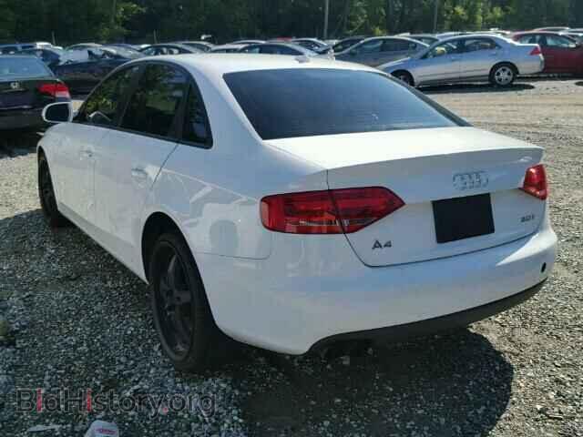 2010 AUDI A4 - VIN: WAUAFAFLXAN049153 - Фото 3