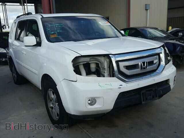 Фотография 5FNYF48589B034579 - HONDA PILOT 2009