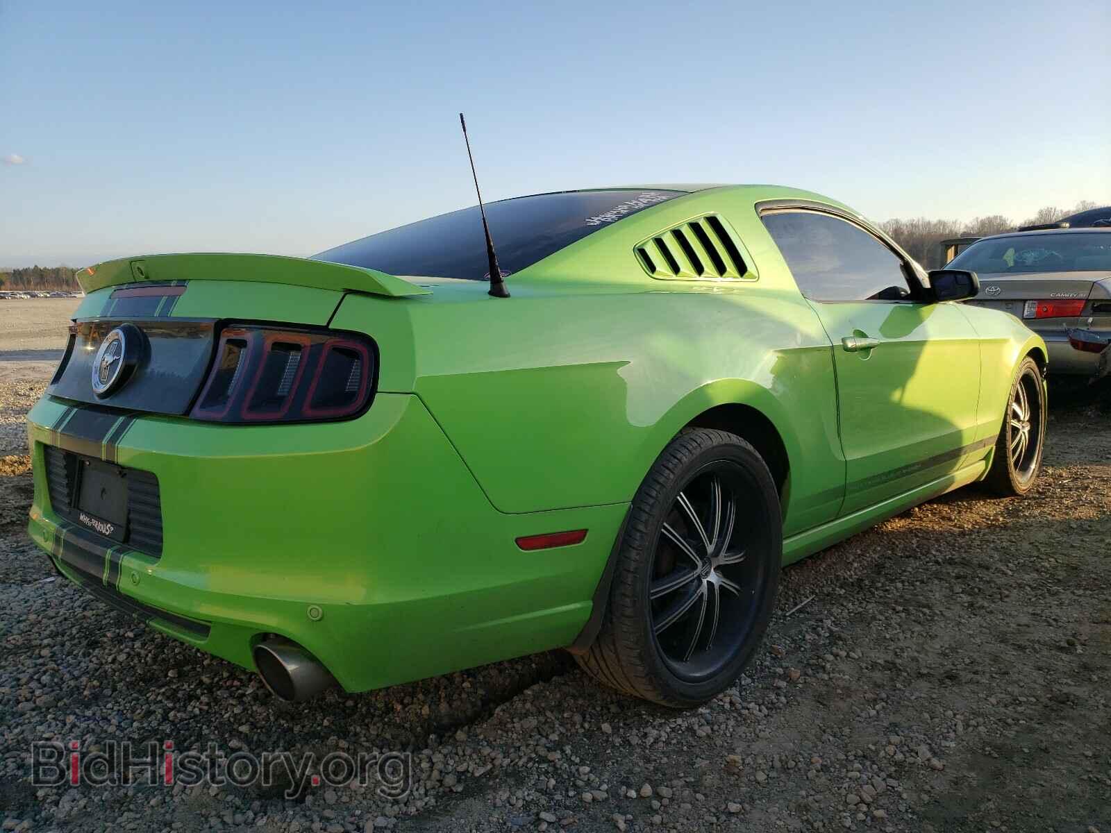 2013 FORD MUSTANG - VIN: 1ZVBP8AM8D5237958 - Фото 2