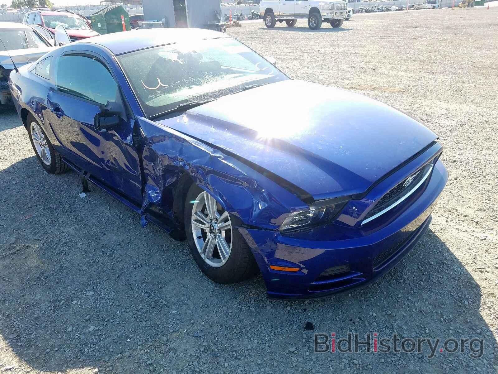 Photo 1ZVBP8AM9E5241356 - FORD MUSTANG 2014