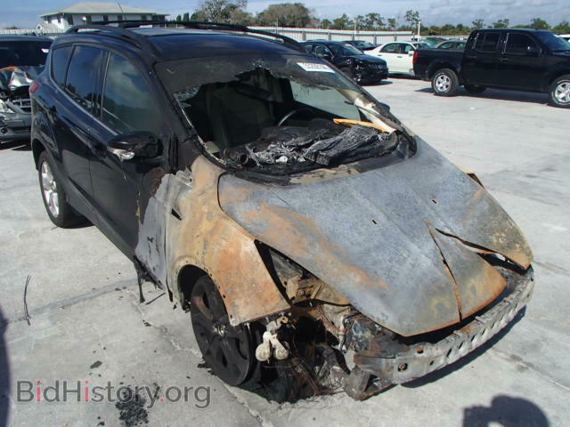 Photo 1FMCU0HX5DUA84507 - FORD ESCAPE 2013