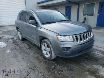 2011 Jeep COMPASS Compass SP, серый — VIN 1J4NF1FB2BD259436, Copart