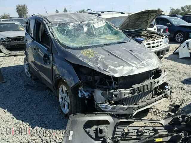 Photo 1FMCU9GX3DUB32575 - FORD ESCAPE 2013
