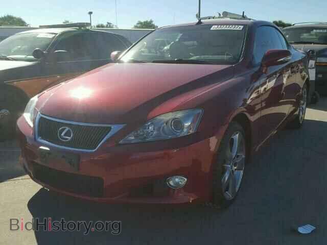 2010 LEXUS IS250 - VIN: JTHFF2C2XA2510376 - Фото 2