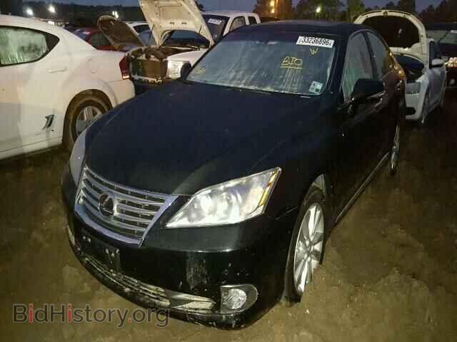 2010 LEXUS ES350 - VIN: JTHBK1EG1A2392585 - Фото 2